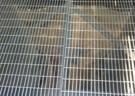 China Revestimento grating de aço galvanizado mergulhado quente da grelha do metal do aço carbono da plataforma baixo fábrica